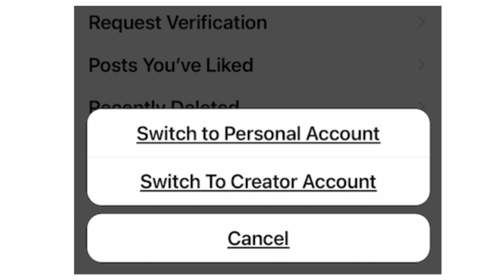 Types of Instagram Accounts